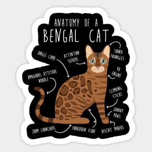 Bengal Cat Anatomy Sticker